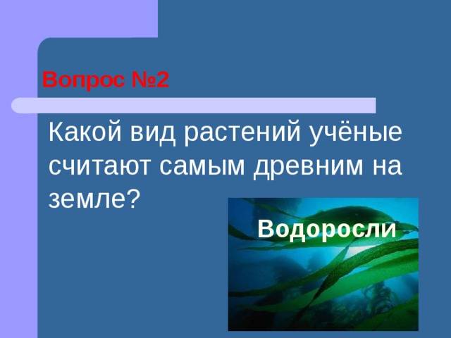 Разнообразие растений на Земле