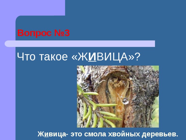 Разнообразие растений на Земле