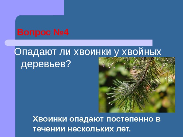 Разнообразие растений на Земле