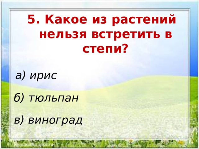 Проверочная работа по окружающему миру по теме " ЗОНА СТЕПЕЙ", для