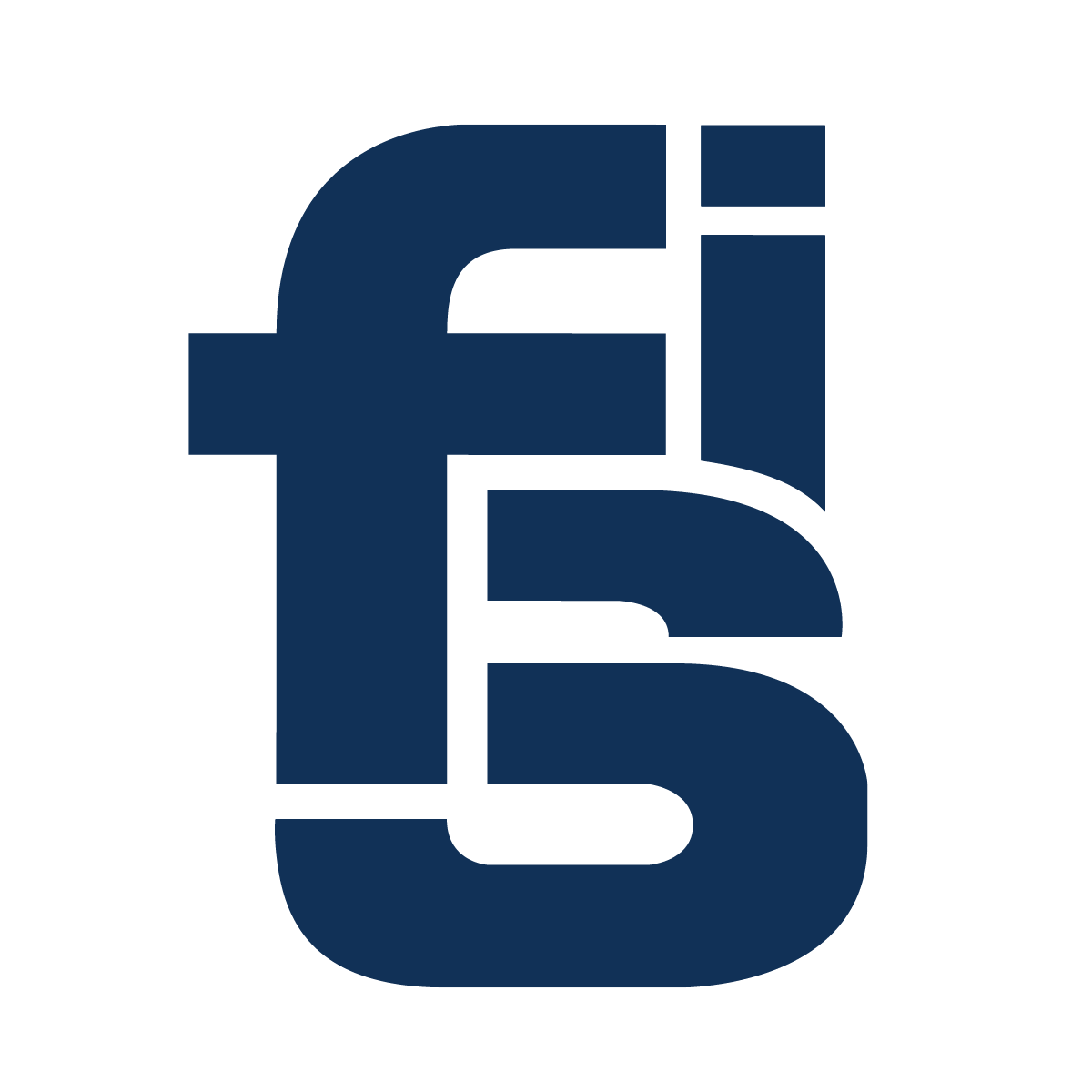 FSI介绍 FSI Shaghai Co. Ltd.