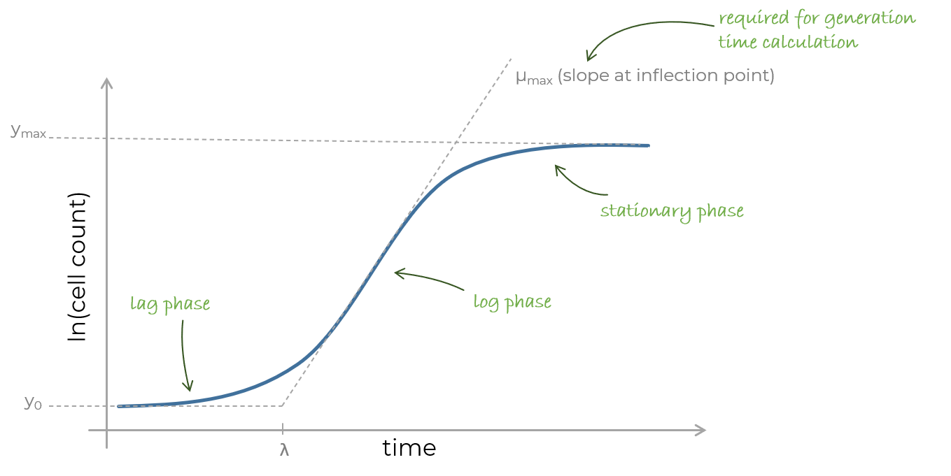 Growth curve