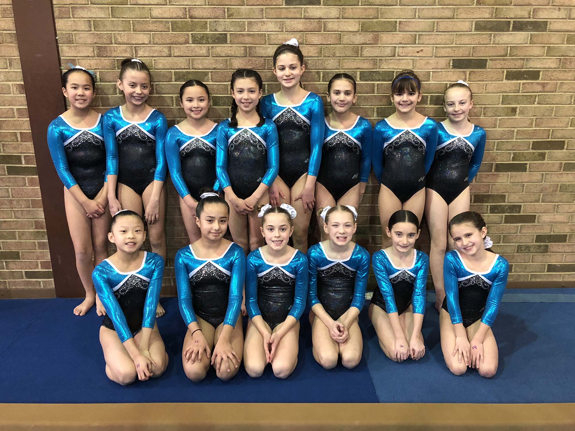 Competitive Gymnastics FanwoodScotch Plains YMCA