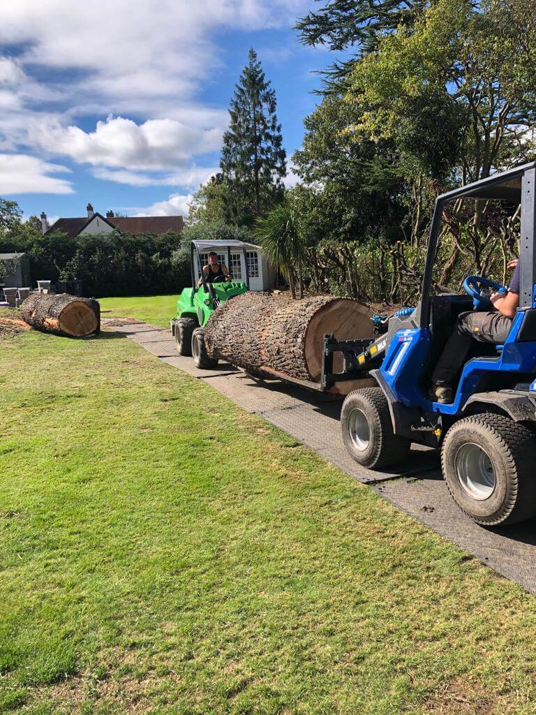 Gallery Four Seasons Tree Surgeons Ltd