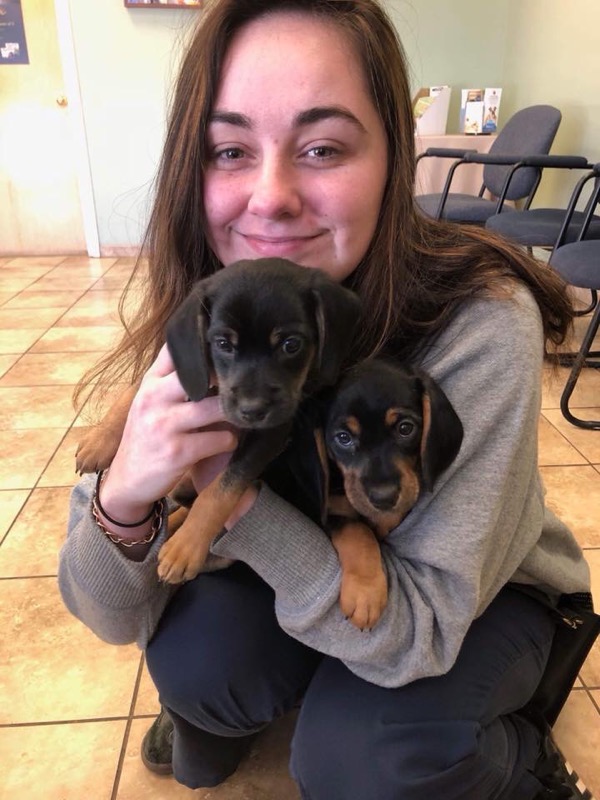 bridget Veterinarian and Animal Hospital in Westminster, MD