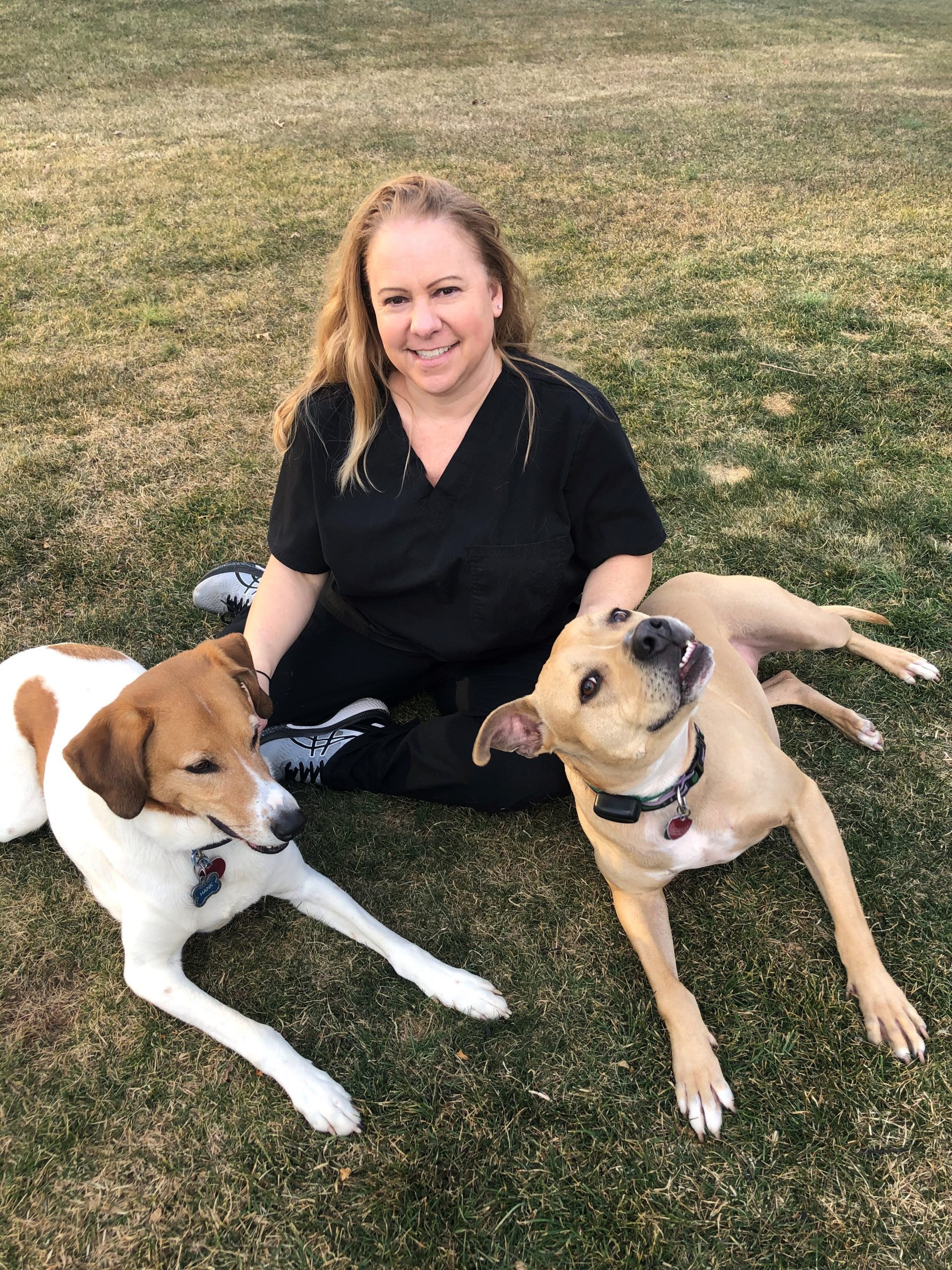 Kerry Veterinarian and Animal Hospital in Westminster, MD