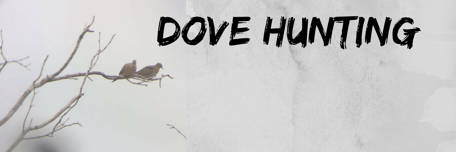 Dove Hunting