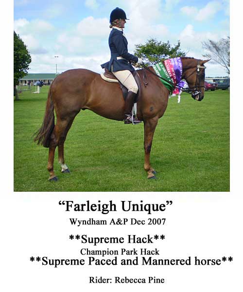 Finishing Touch Equestrian Customer Feedback