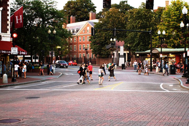 Where is Harvard University Located?