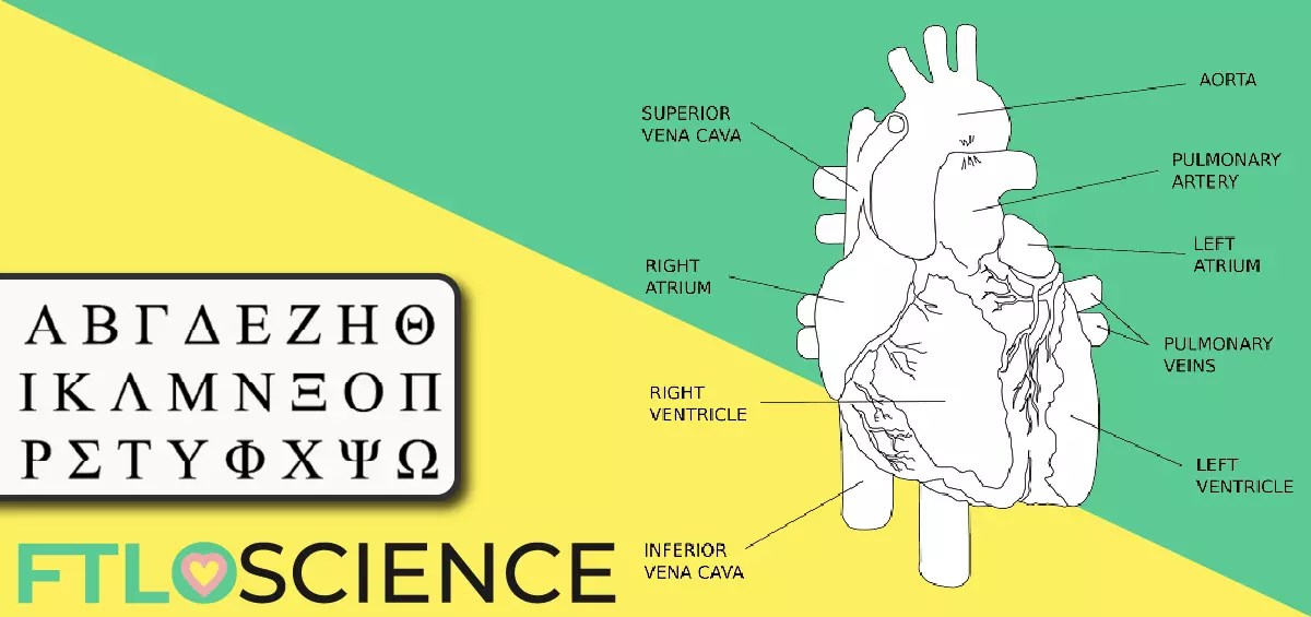 Science is All Greek to me! Understanding Scientific Jargon FTLOScience