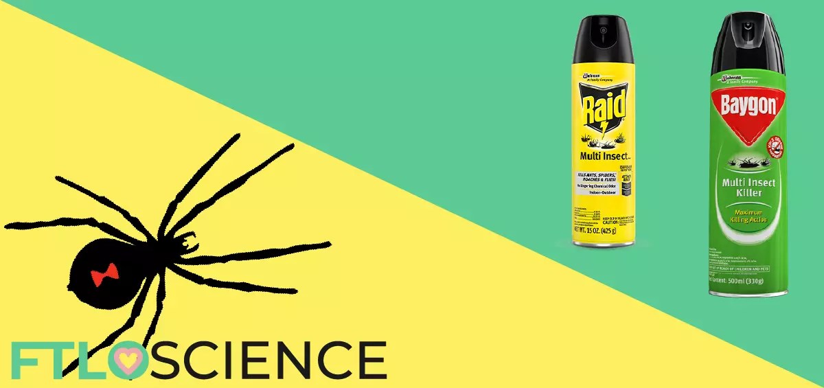 Why Household Insecticides Don&rsquo;t Kill Spiders | FTLOScience