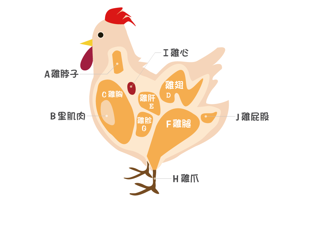 雞柳 部位