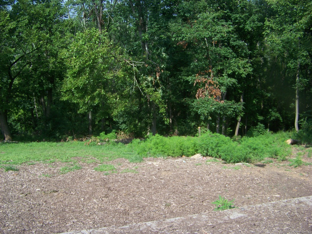 Highland Hills Park City of Fort Thomas