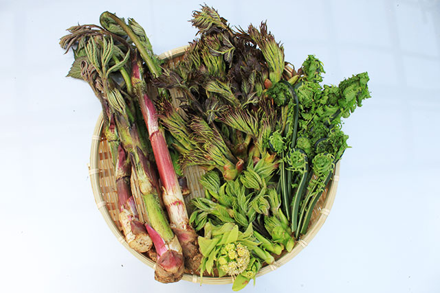 アルプスの新鮮な地場野菜と山菜きのこなど 農産物直売所 道の駅 風穴の里