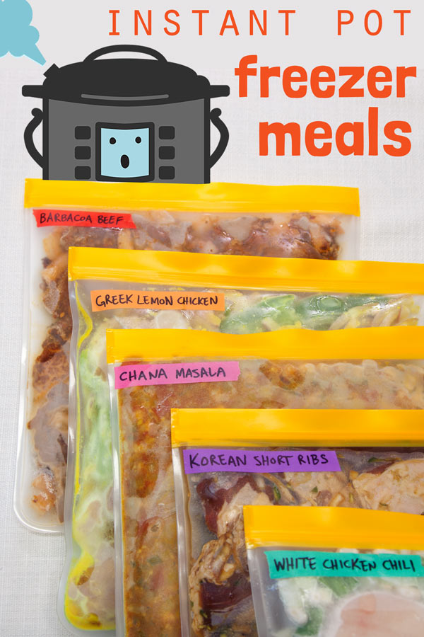 Easy Instant Pot Freezer Meals 2023 AtOnce