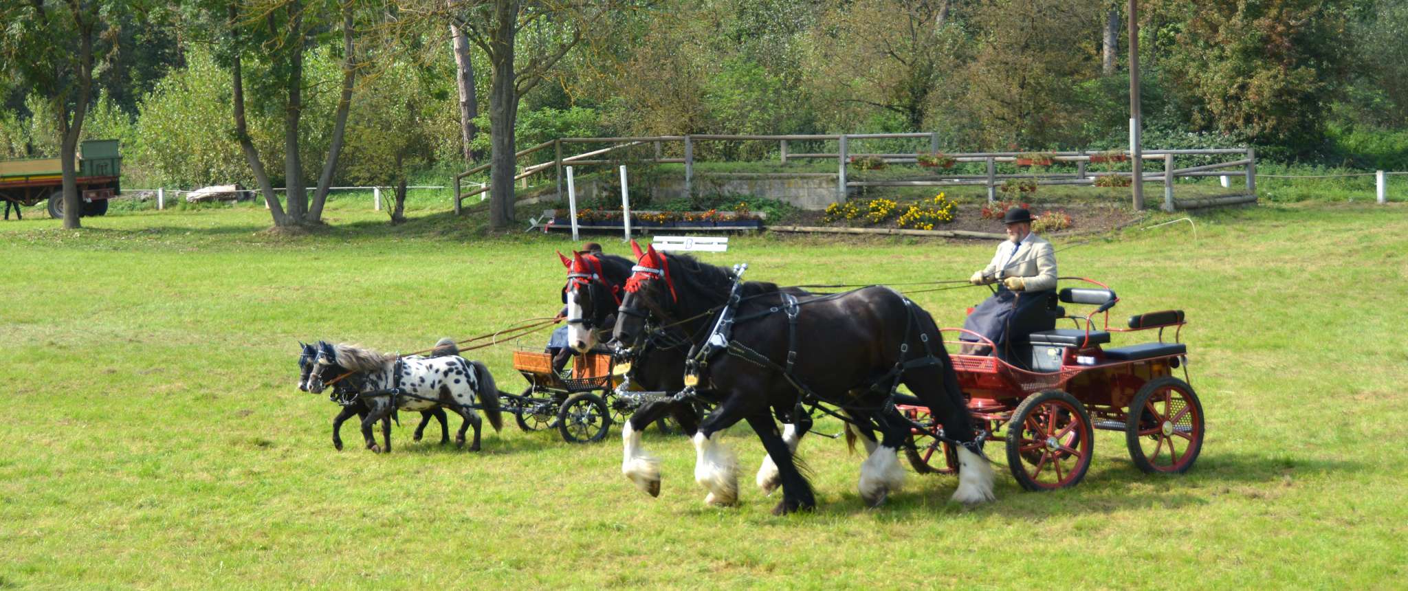 Festzüge und Shows Fuhrhalterei Döring