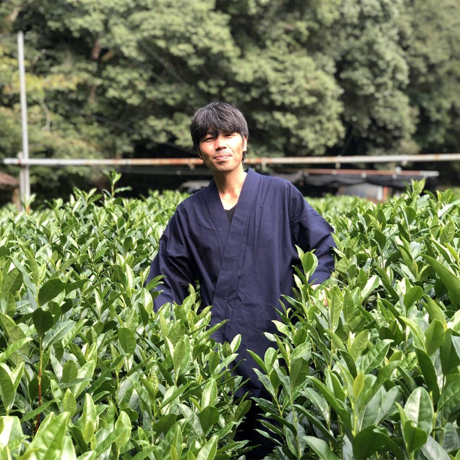 History of Matcha Fujini Tea