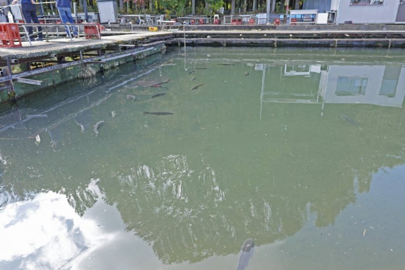 無料ダウンロード 河口湖 釣り堀 747172河口湖 釣り堀 子供 Jozirasutonyug