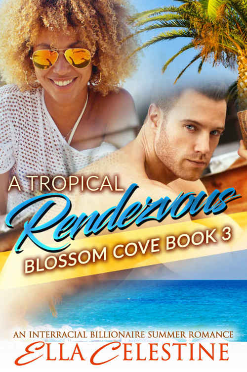 READ FREE A Tropical Rendezvous A BWWM Interracial Bad Boy Billionaire