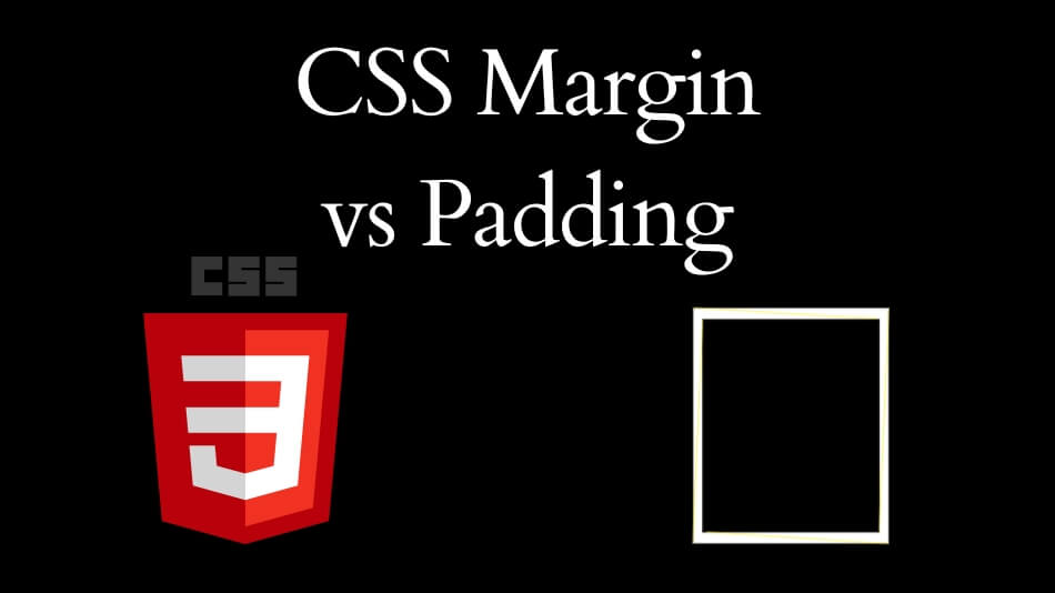CSS Margin Vs Padding Understanding The Difference