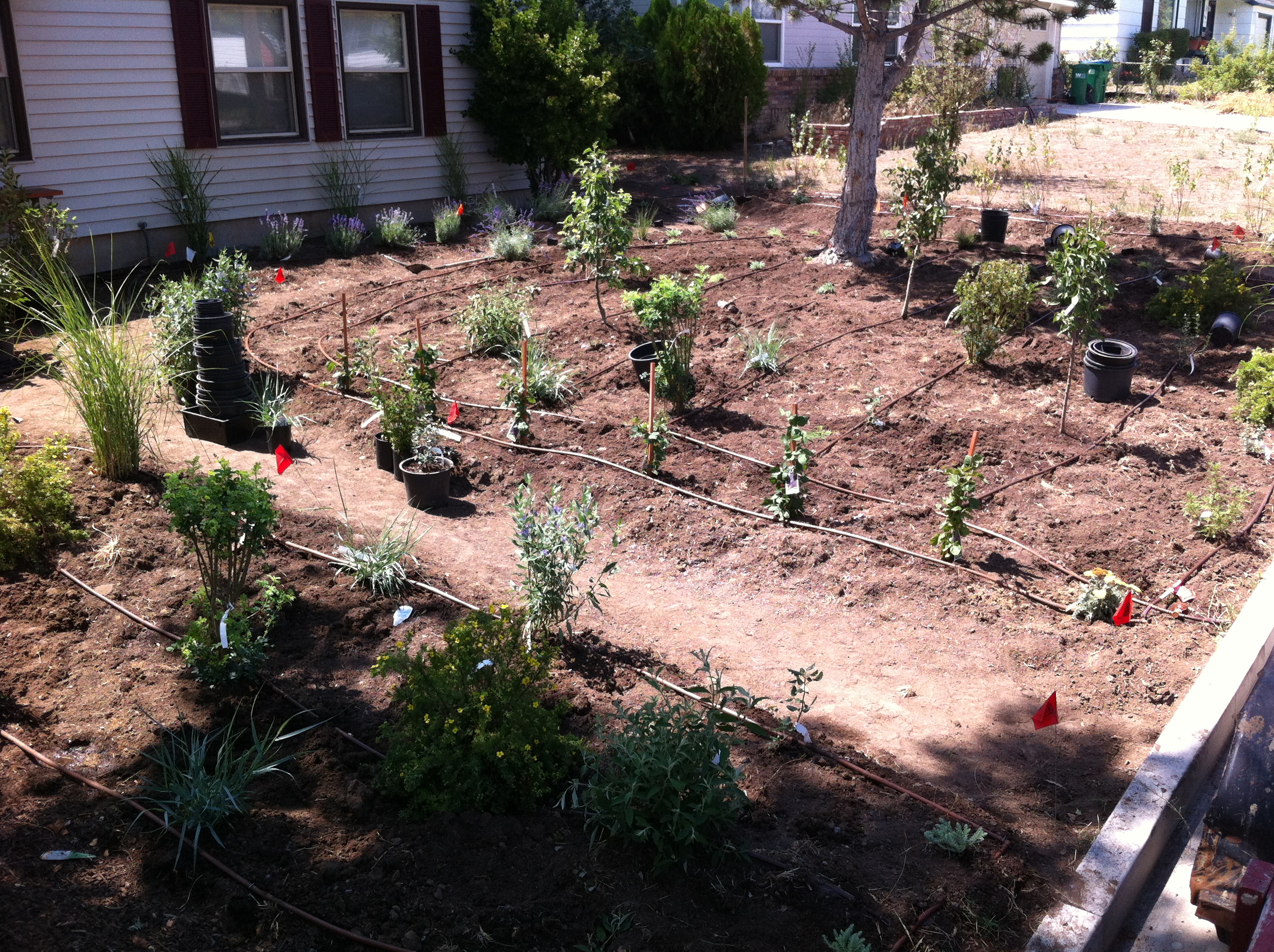 Xeriscape Nevada Improve Your Home's Value Part 2 Full Circle