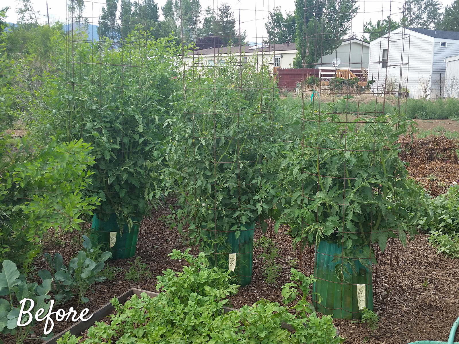 Selecting Plants Gardening Tips in Northern Nevada Full Circle