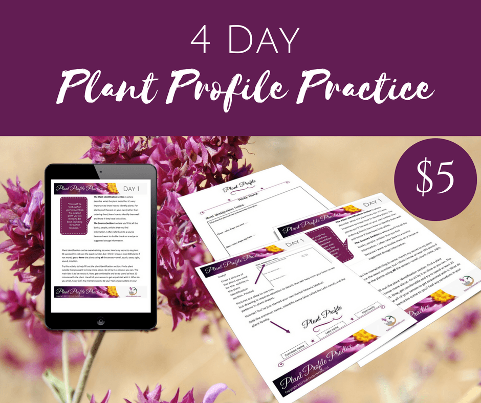 LEARNING herbalism with plant profiles Full Circle Herbals, LLC