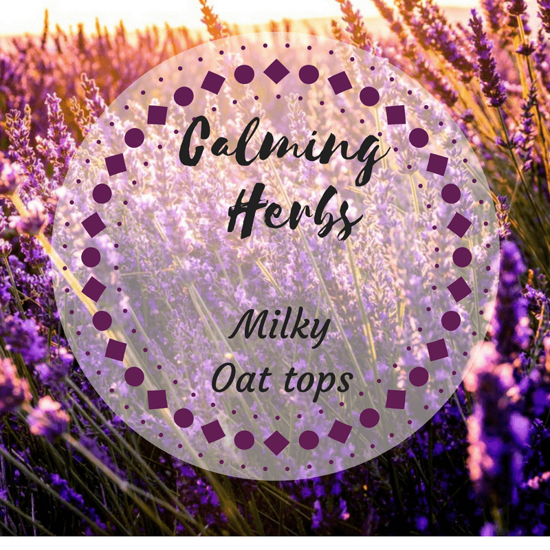 Calming Plants Full Circle Herbals, LLC