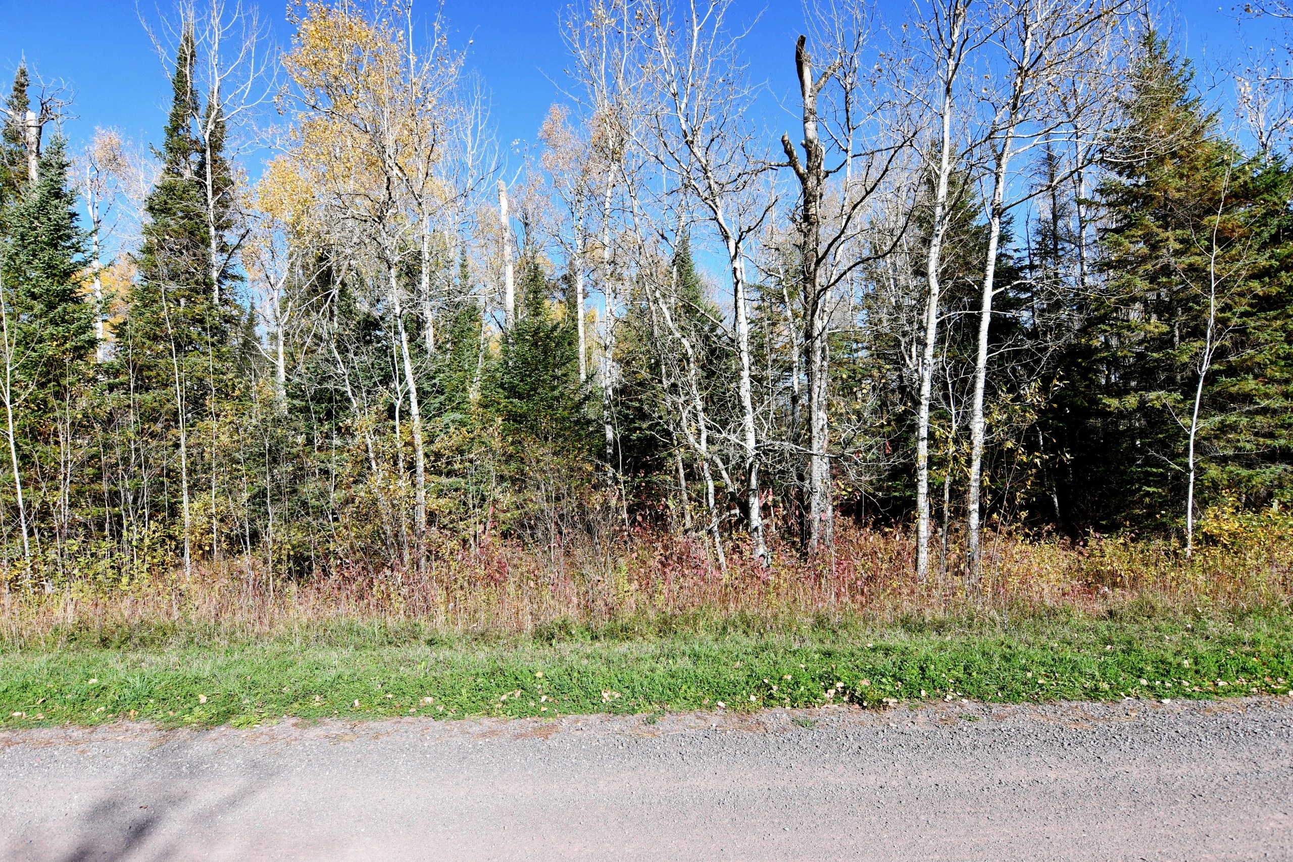 Bayfield County Wi Tax Collector at Alicia Gallaway blog