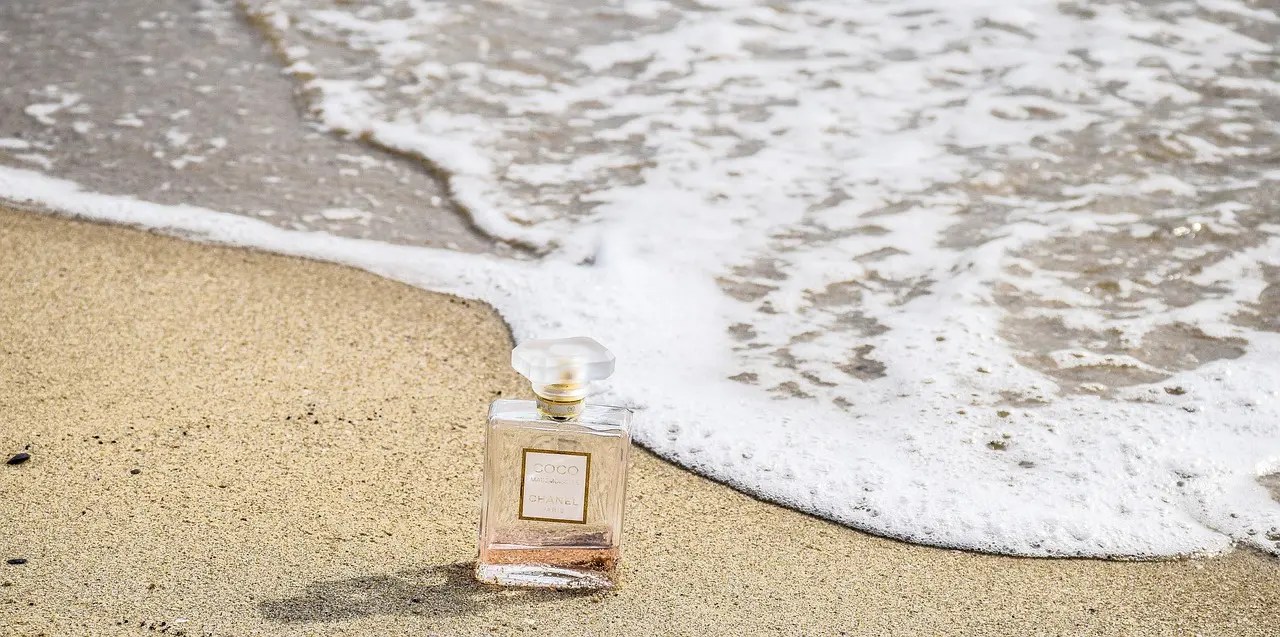 Scent of the Sea Discovering BeachInspired Fragrances