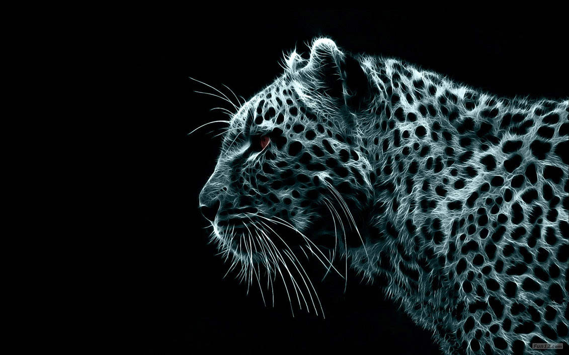 White Leopard Wallpapers, Wonderful White Leopard, 1131x707, 2731