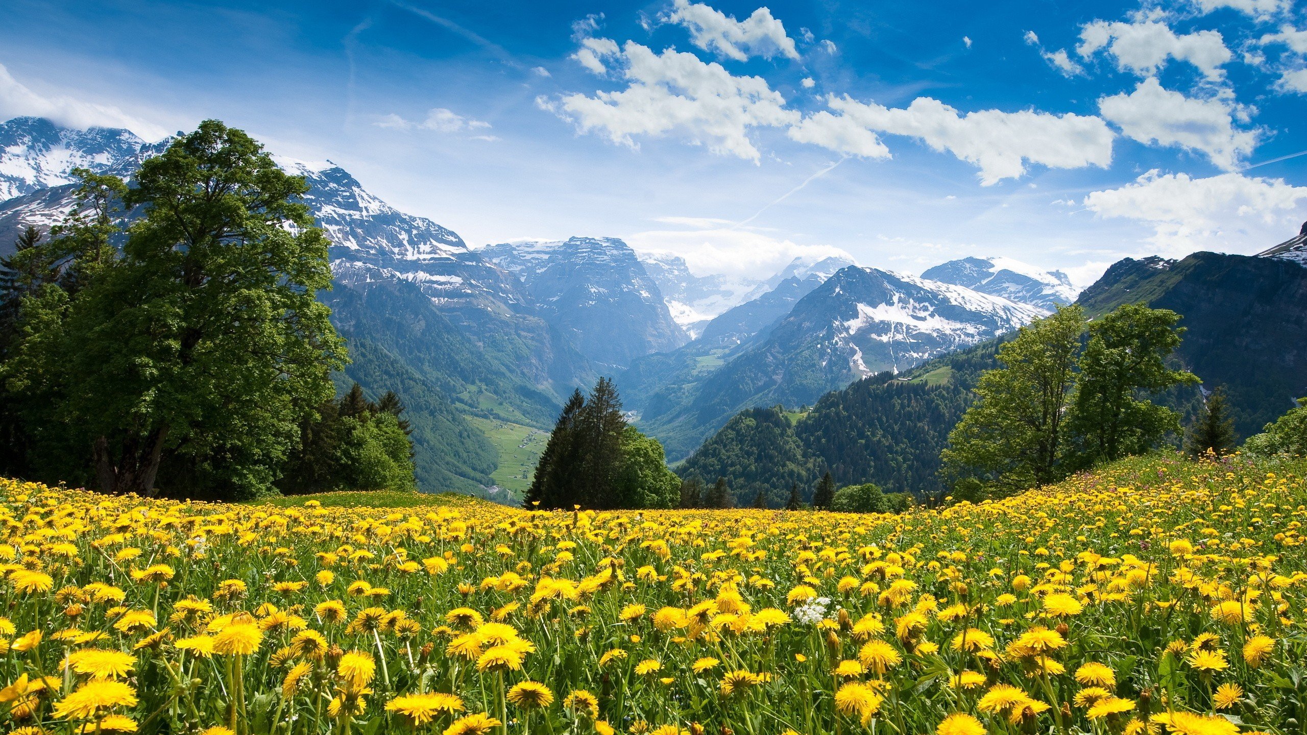 Spring Landscape, Beautiful Spring Landscape, 2560x1440, 9908