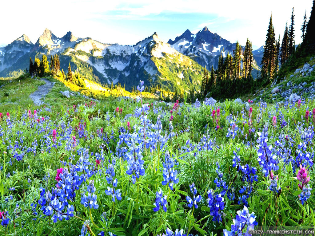 Spring Landscape, Beautiful Spring Landscape, 1024x768, 11867
