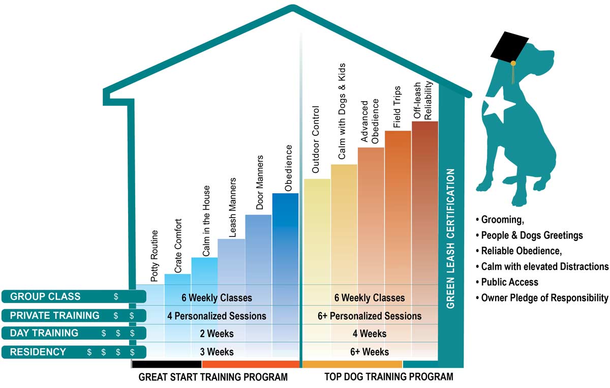 How Much Does Private Dog Training Cost