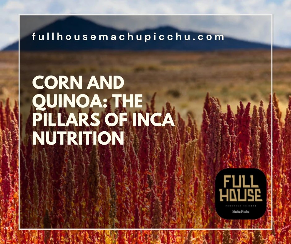 The Pillars of Inca Nutrition Full House Machu Picchu 2024