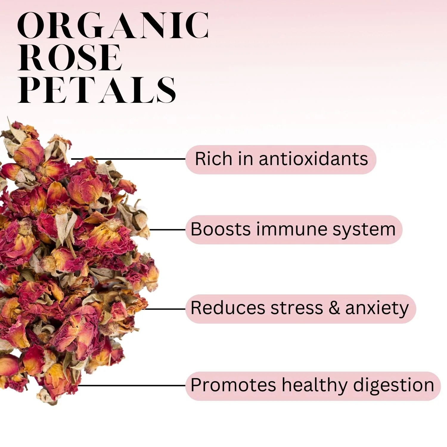 What is Rose Petal Tea? History, Benefits, and More Full Leaf Tea