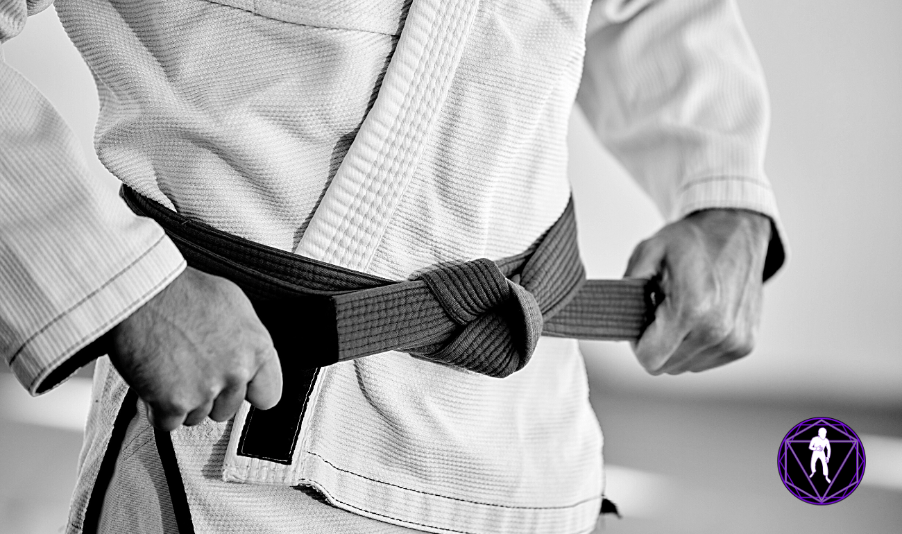 What is Brazilian Jiu Jitsu? Full Metal BJJ