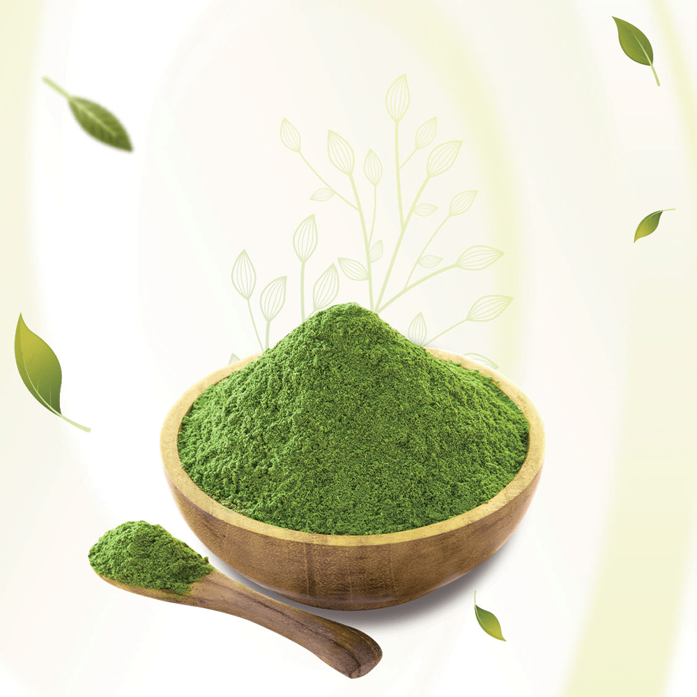 Unlocking the Power of Neem Powder Benefits and Uses