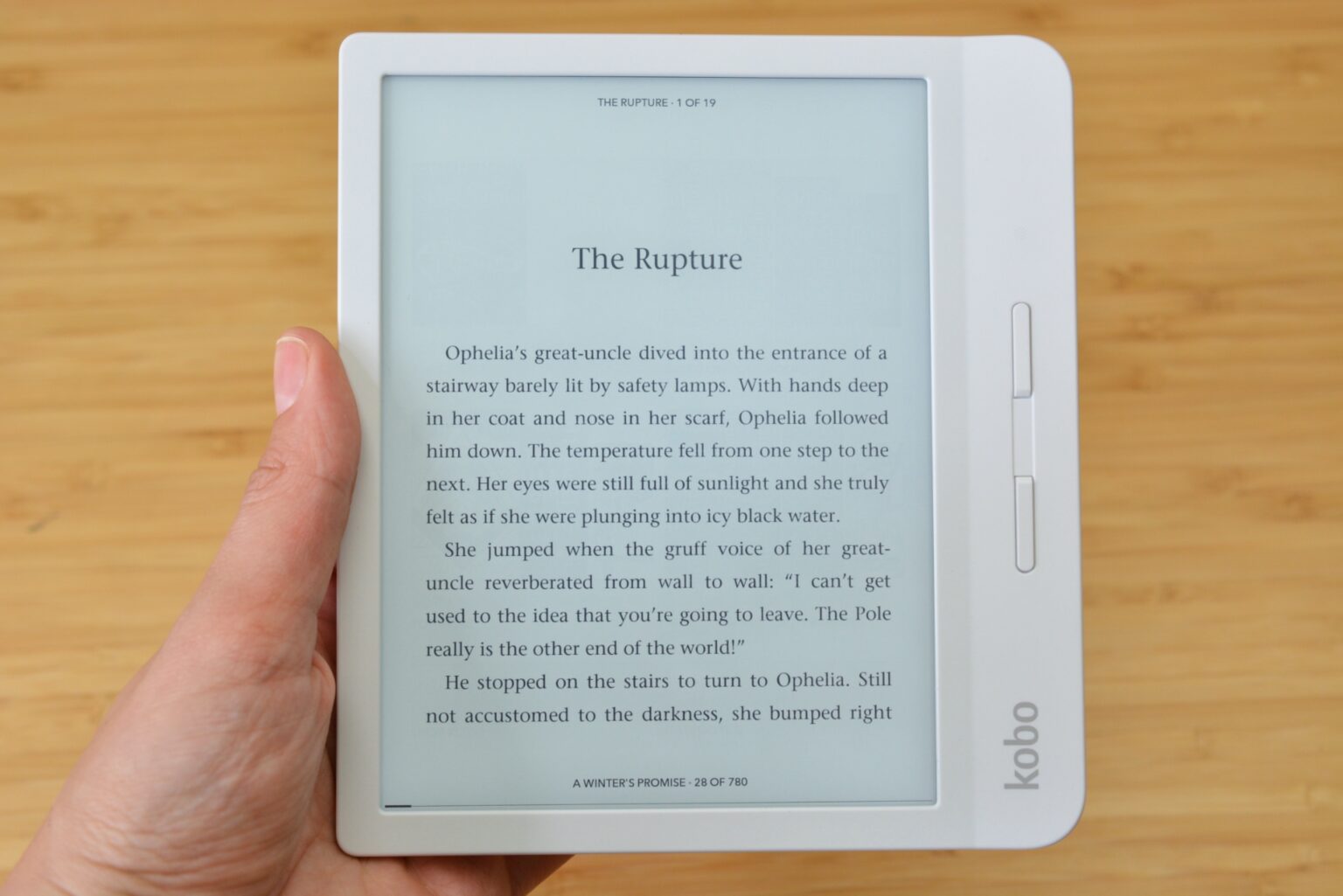 Kobo eBook reader Choosing the Best Ebook Readers in the Market
