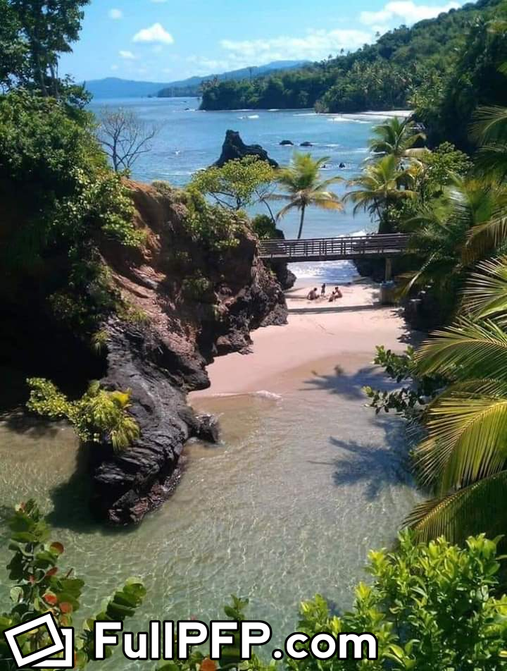 ksregis on OnlyFans | Full-Size Profile Picture Download - fullpfp.com