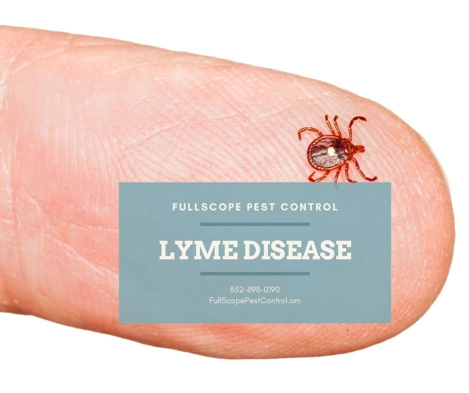 Lyme Disease in Pets FullScope Pest Control