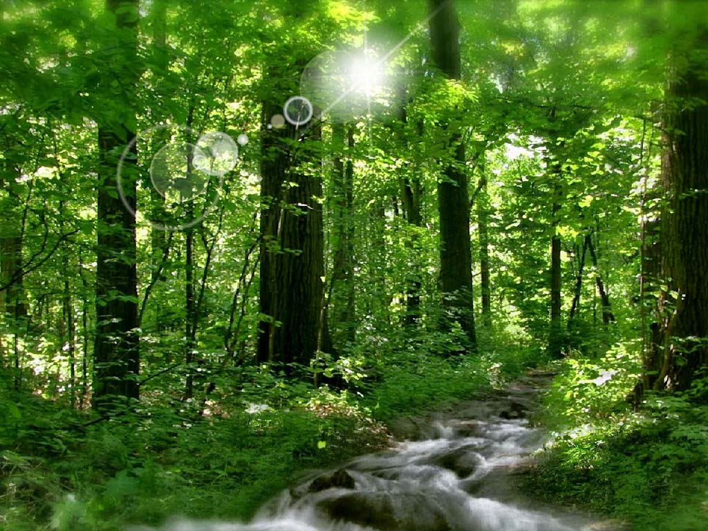 Sunny River River Screensaver