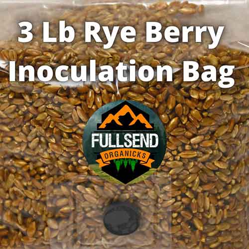 Rye Berry Inoculation Bag Fullsend OrgaNicks