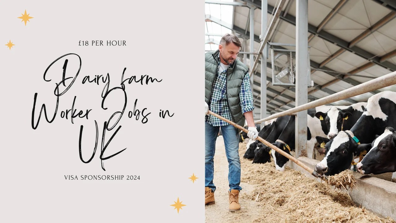 Dairy Farm Worker Jobs in UK with Visa Sponsorship 2024 (£18 Per Hour
