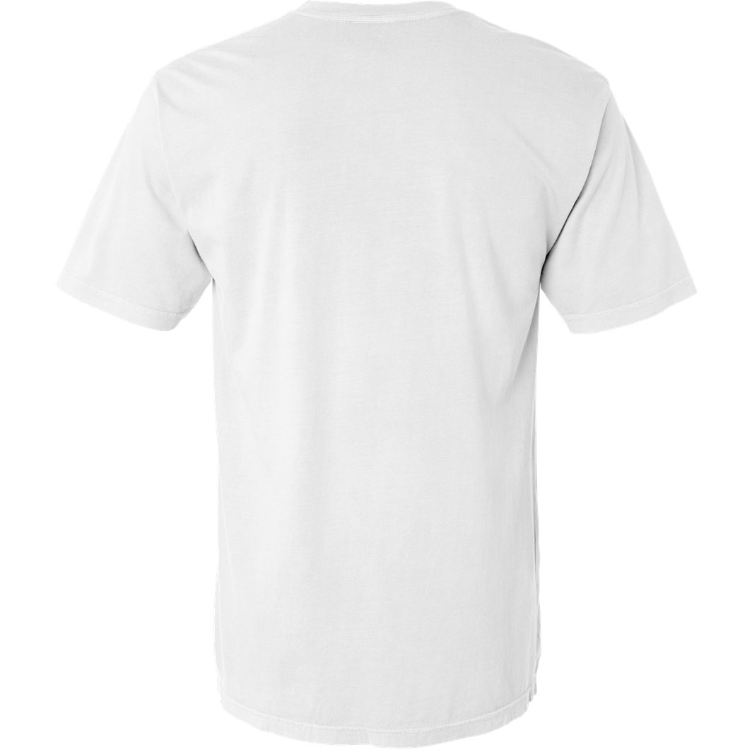 Comfort Colors 4017 Garment Dyed Lightweight Ringspun Short Sleeve TShirt White
