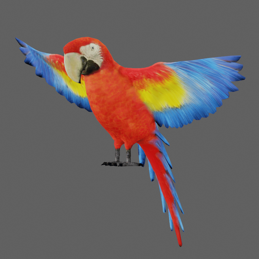 Parrot 3d model with animation & PBR textures FullSpectrum 3D