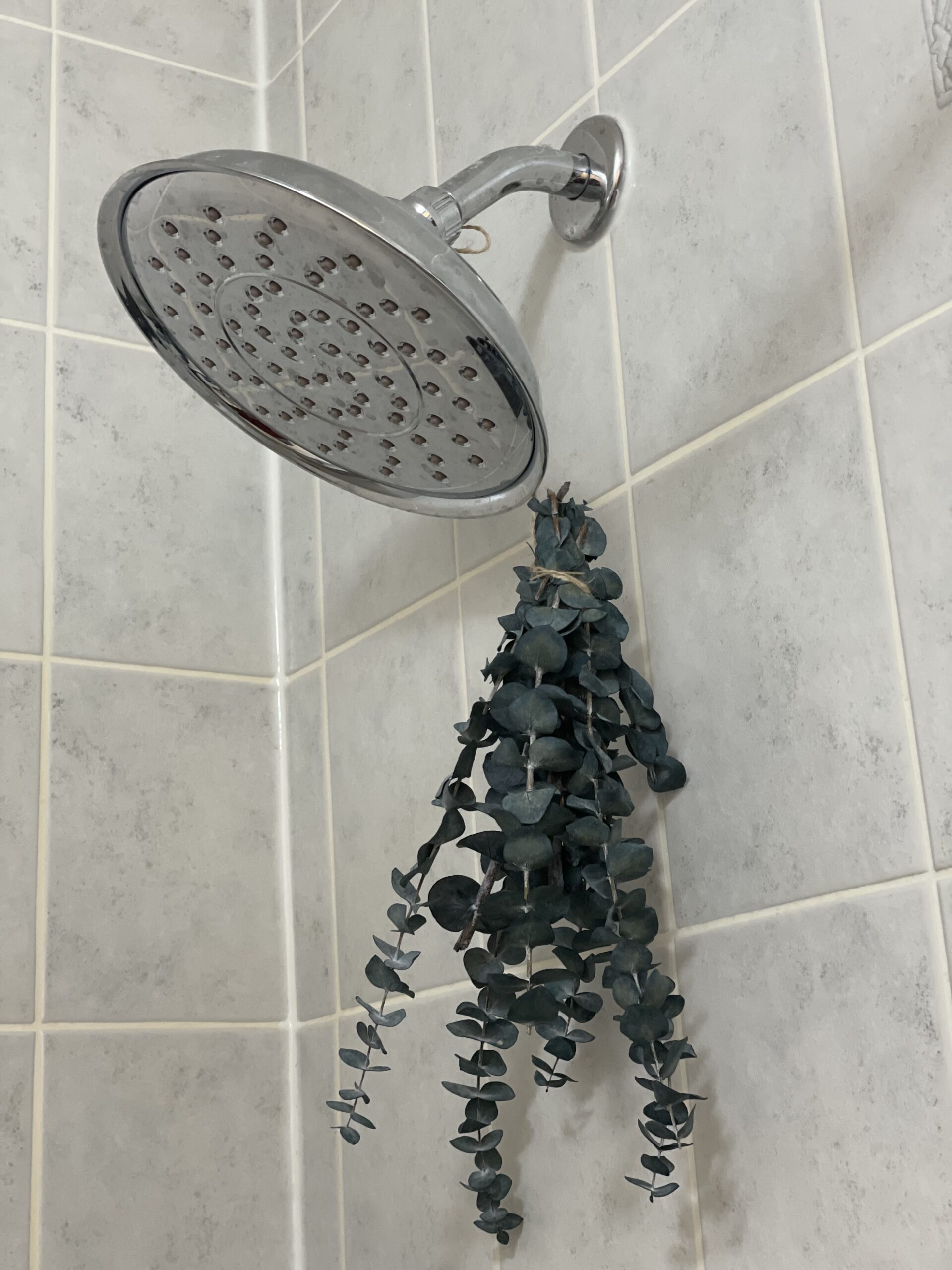 Eucalyptus Shower Bunches Full Vase Decor