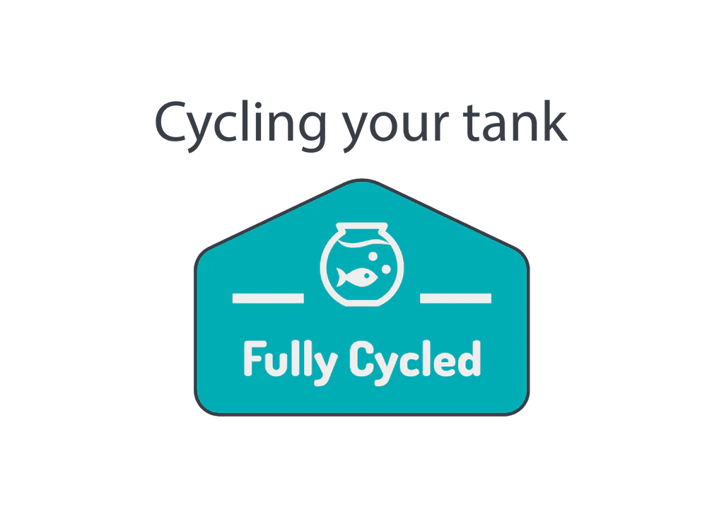 How to cycle a tank and get it ready for your fish Fully Cycled