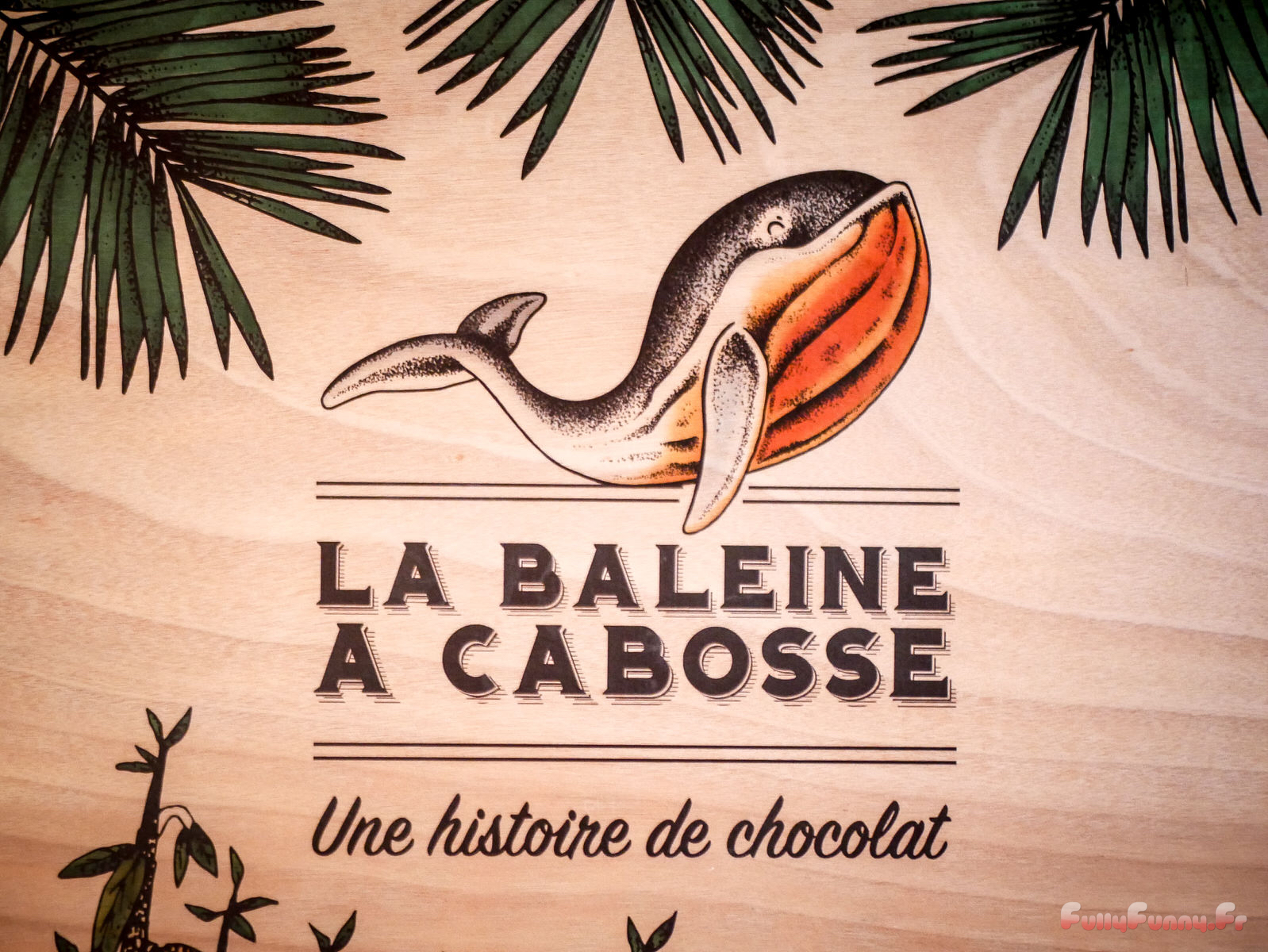 La Baleine à cabosse La fabrication du chocolat "beantobar