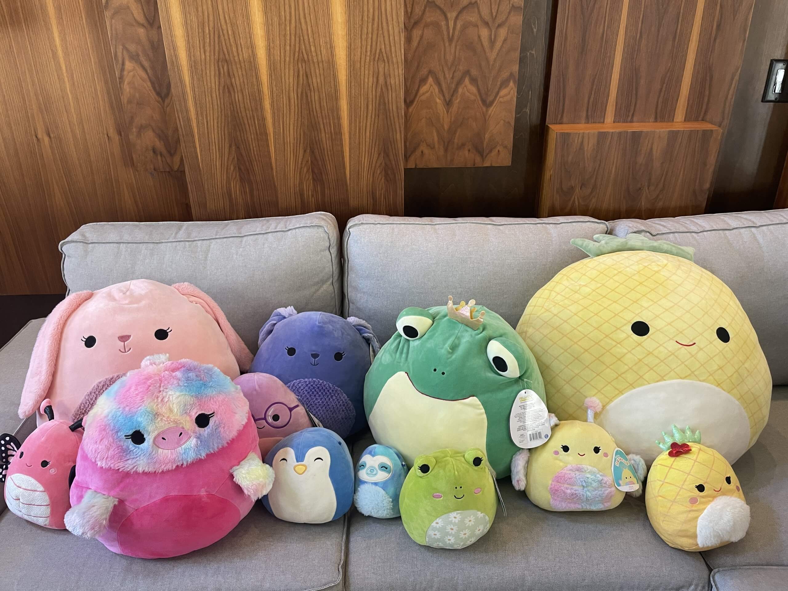 Can you Wash Squishmallows ? Fully Home
